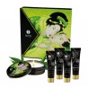Ensemble "Secrets de Geisha" thé vert exotique SHUNGA